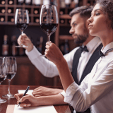 Wine Tasting Tour