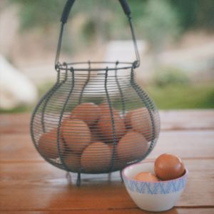 Lisbon farm to table tour