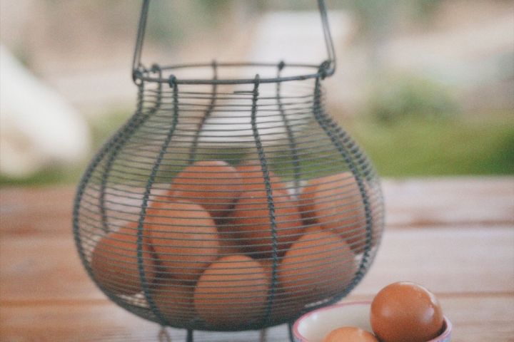 Lisbon farm to table tour