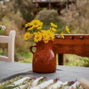 Lisbon farm to table tour