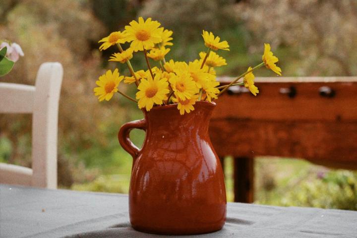 Lisbon farm to table tour