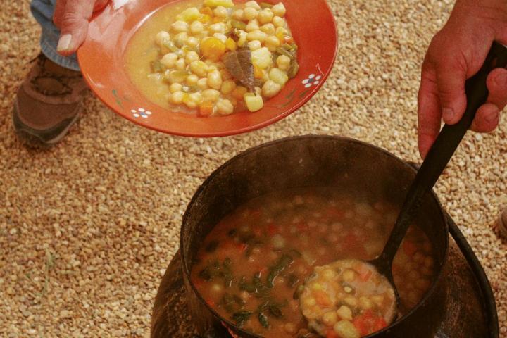 Lisbon farm to table tour