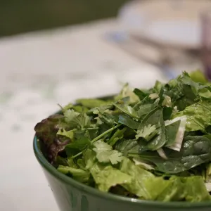 Lisbon farm to table tour