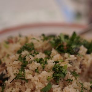 Lisbon farm to table tour