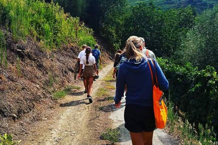 douro valley tours