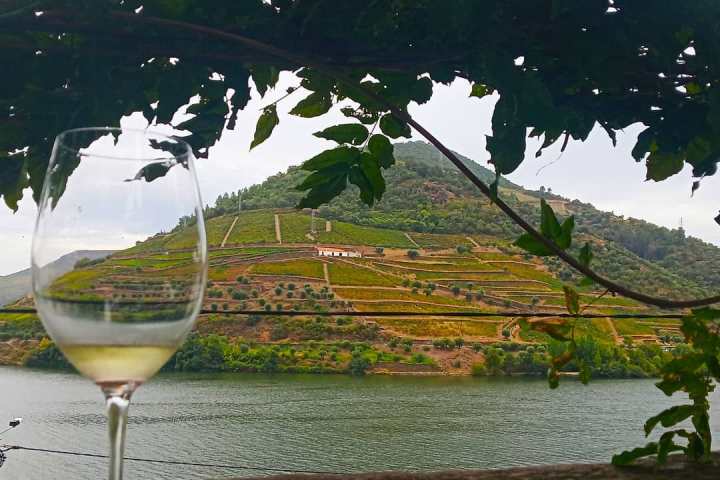 Douro Valley tours