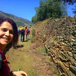 douro valley tours