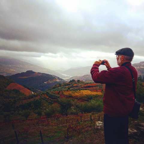 Douro Valley tours