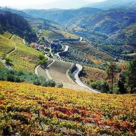 Douro valley tours