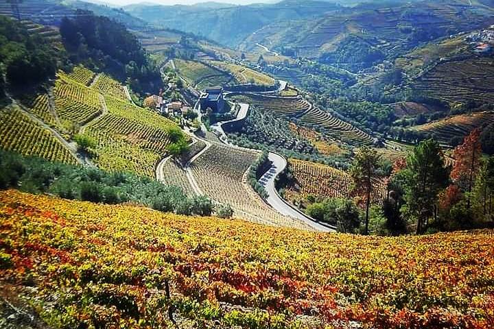Douro valley tours