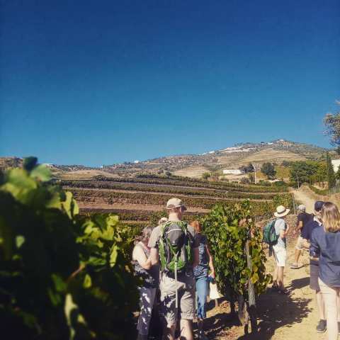 douro valley tours