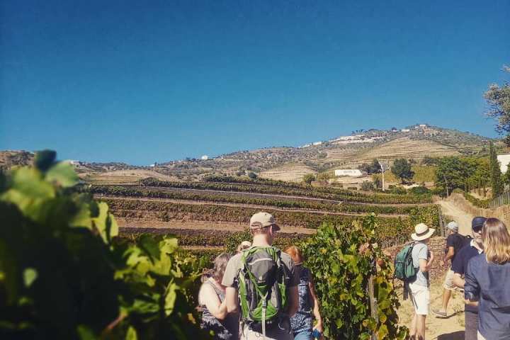 douro valley tours
