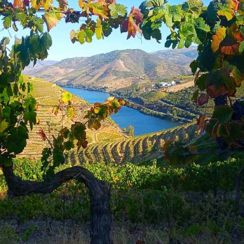 douro valley tours