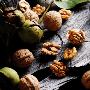 Walnut tour in Évora