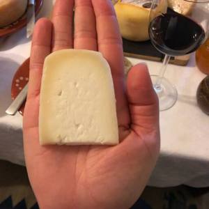 cheese tasting tour