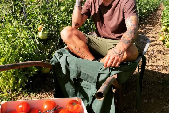 organic farm tour
