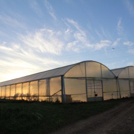 a long bridge in the background