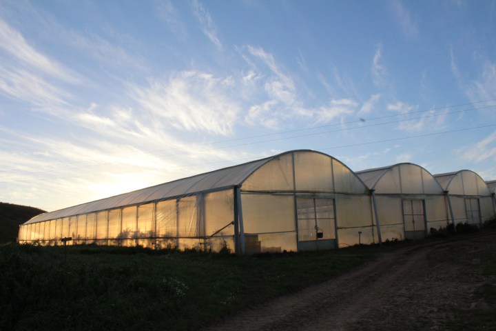a long bridge in the background