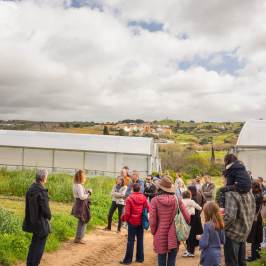 Group of people on a farm tour near greenhouses under a cloudy sky.