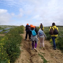 Group of hikers on a dirt path surrounded by fields under a cloudy sky.