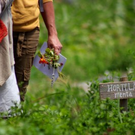 People holding herbs stand near a sign labeled 'Hortela menta' in a garden.