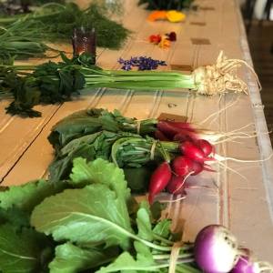 Lisbon Organic workshop