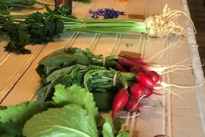 Lisbon Organic workshop