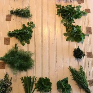 Lisbon Organic workshop