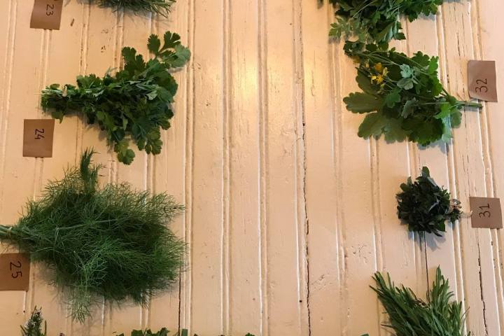 Lisbon Organic workshop