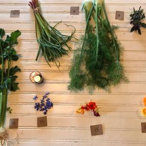 Lisbon organic workshop