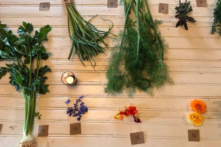 Lisbon organic workshop