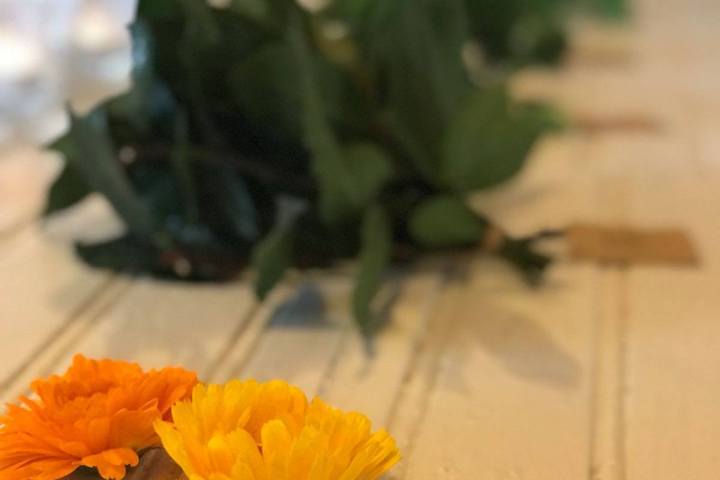 Lisbon Organic workshop