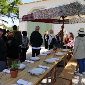 Lisbon Organic workshop