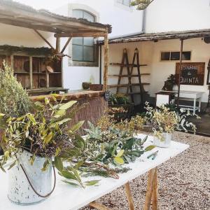 Lisbon Organic workshop