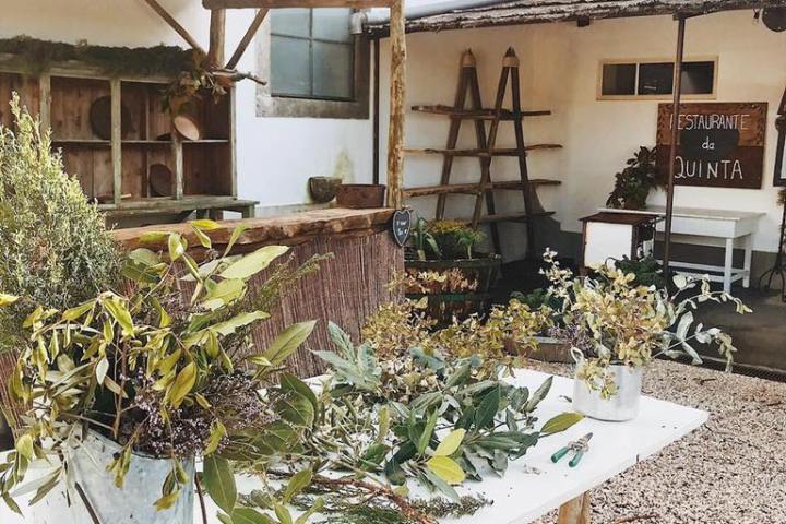 Lisbon Organic workshop