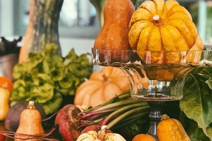 Lisbon Organic workshop