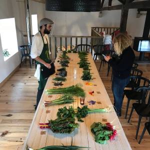 Lisbon Organic workshop