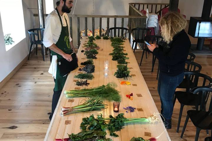 Lisbon Organic workshop