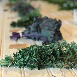 Lisbon Organic workshop