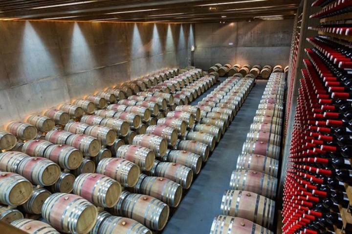 Lisbon wine tour
