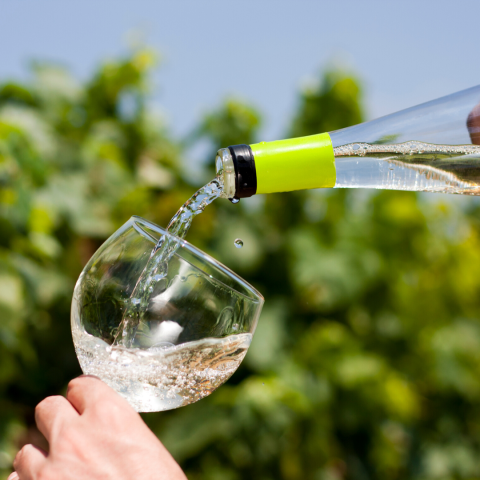 a hand holding a glass of wine