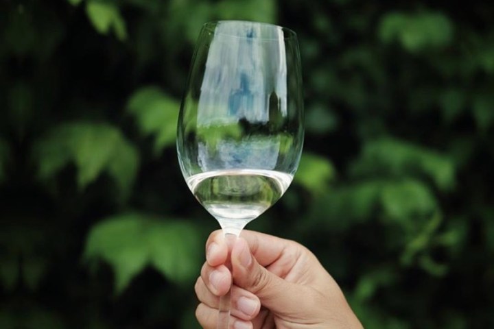 porto wine tour