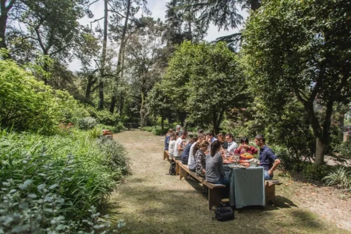 porto wine tour
