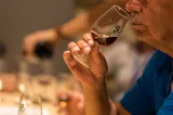 porto wine tour