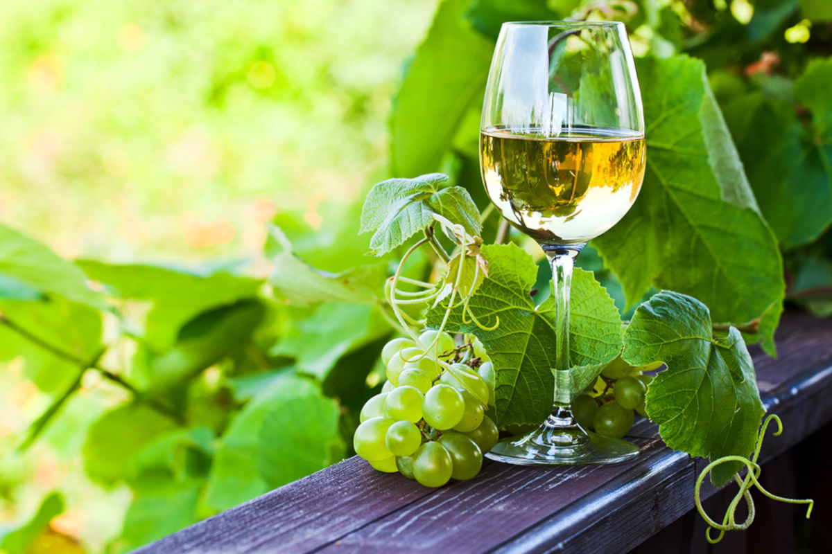 https://www.portugalfarmexperience.com/wp-content/uploads/sites/2986/2020/05/vinho-verde-tour.jpg?w=700&h=700&zoom=2