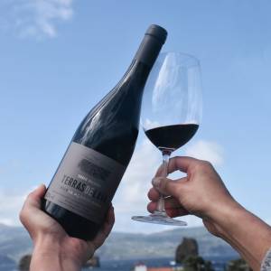 azores wine tour