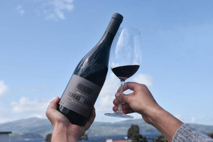 azores wine tour
