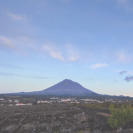 azores wine tour