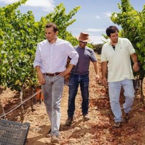 Alvor wine tour