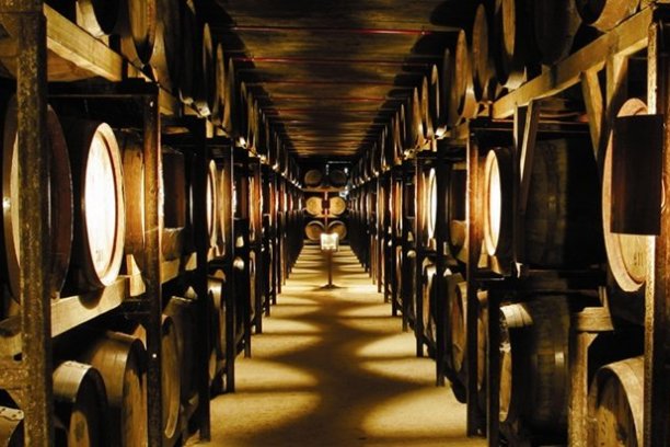 porto wine tour
